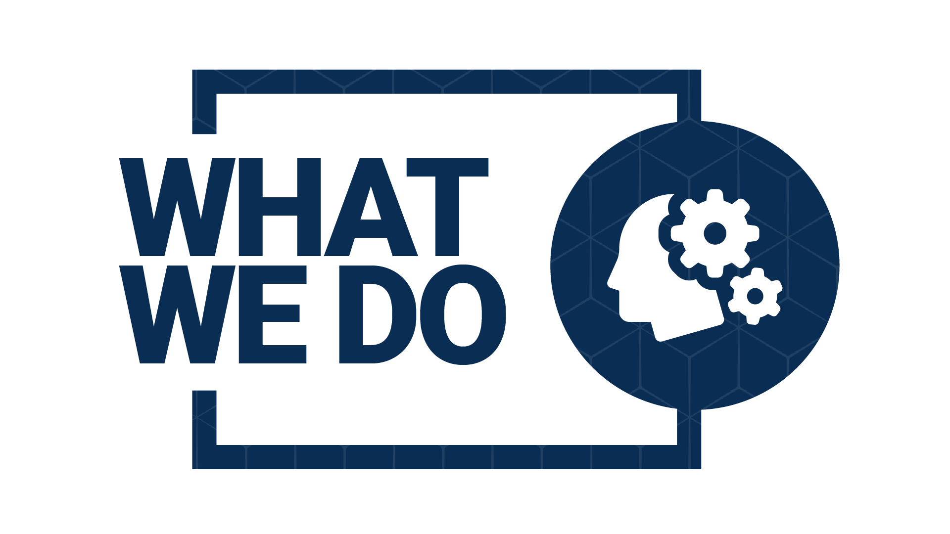 what-we-do